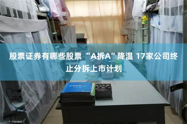 股票证券有哪些股票 “A拆A”降温 17家公司终止分拆上市计划