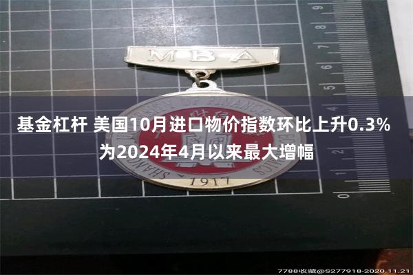 基金杠杆 美国10月进口物价指数环比上升0.3% 为2024年4月以来最大增幅