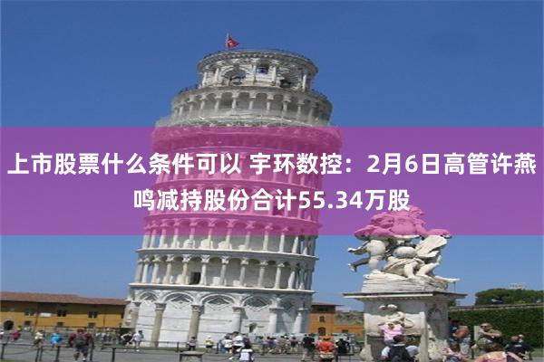 上市股票什么条件可以 宇环数控：2月6日高管许燕鸣减持股份合计55.34万股