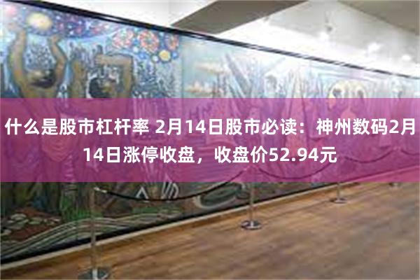 什么是股市杠杆率 2月14日股市必读：神州数码2月14日涨停收盘，收盘价52.94元