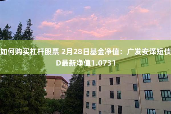 如何购买杠杆股票 2月28日基金净值：广发安泽短债D最新净值1.0731