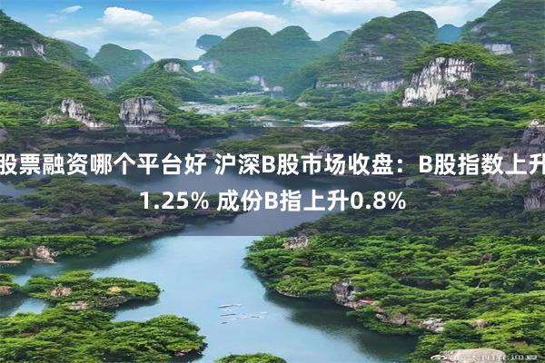 股票融资哪个平台好 沪深B股市场收盘：B股指数上升1.25% 成份B指上升0.8%