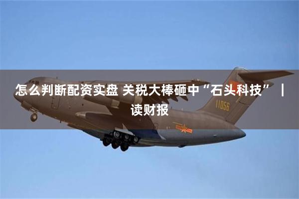 怎么判断配资实盘 关税大棒砸中“石头科技” ｜读财报